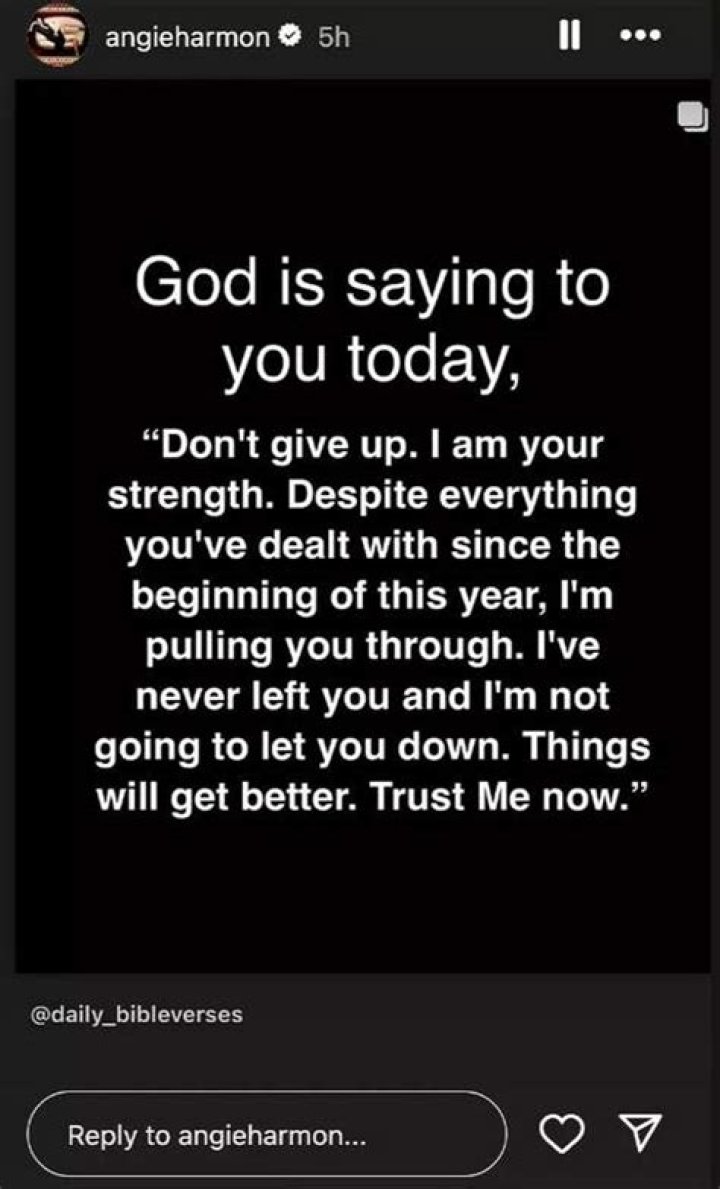 Angie Harmon Shares Hopeful Messages After Her Rescue Dog Is Shot and Killed by an Instacart Driver