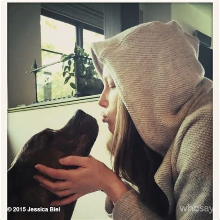 Jessica Biel Pets - Celebrity Pets
